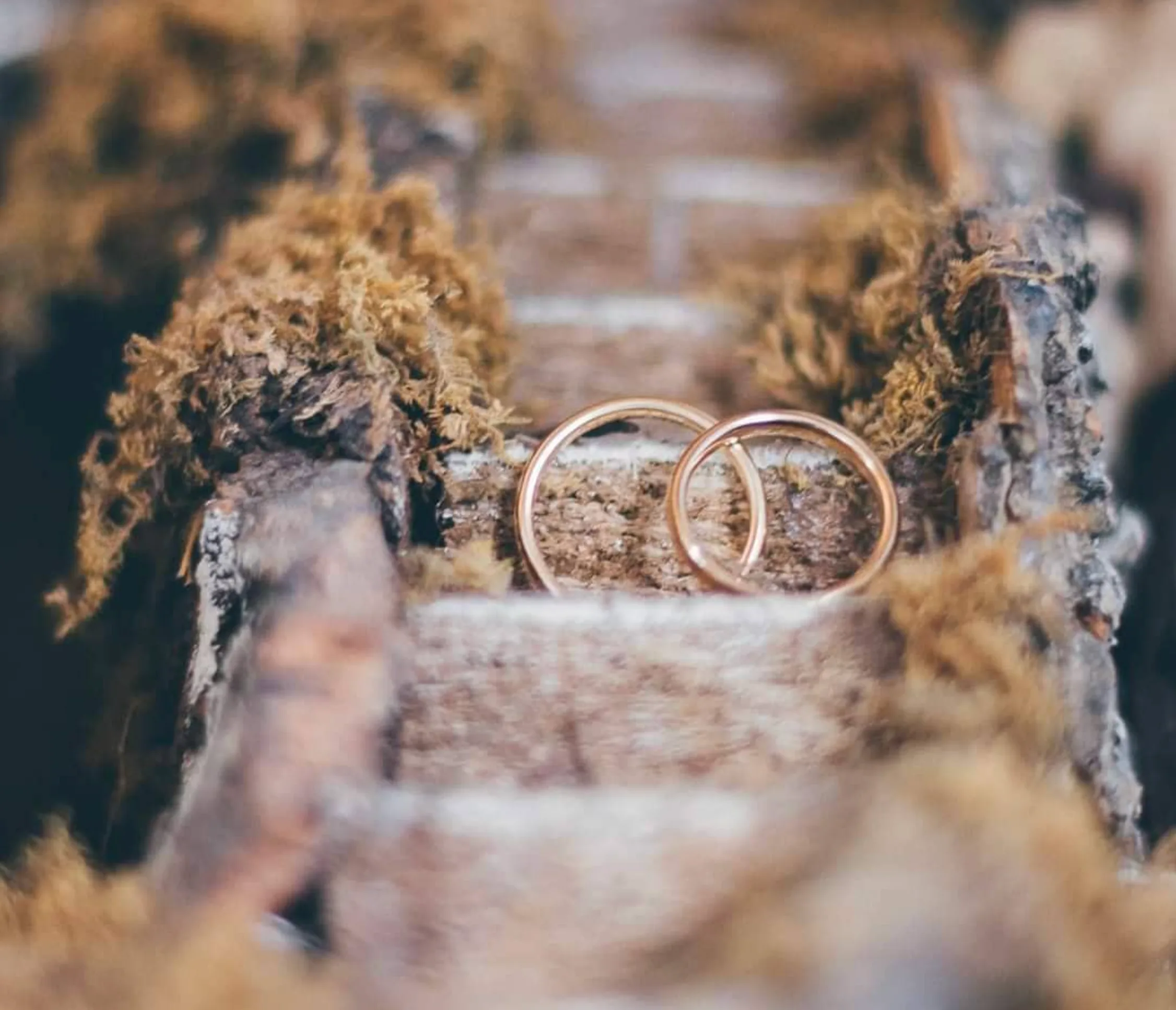 Hochzeitfotografie