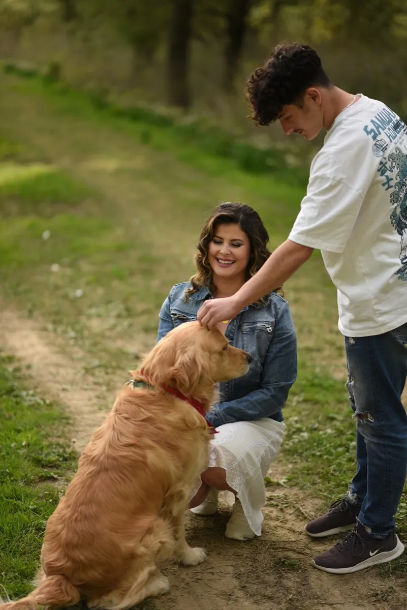 Golden Retriever auf dem Waldweg